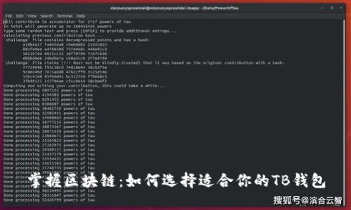 掌握区块链：如何选择适合你的TB钱包