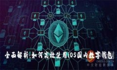 全面解析：如何高效使用iOS国内数字钱包