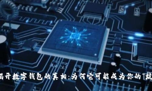 揭开数字钱包的真相:为何它可能成为你的“坑”