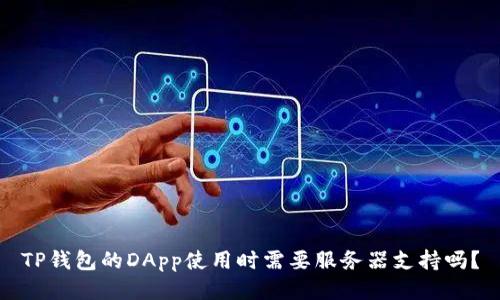 TP钱包的DApp使用时需要服务器支持吗？