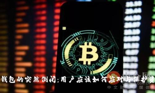 TP钱包的突然倒闭：用户应该如何应对与保护资产