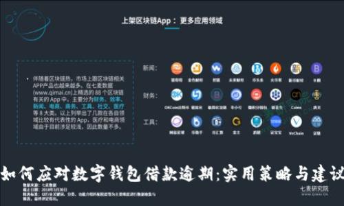 如何应对数字钱包借款逾期：实用策略与建议