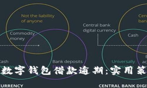 如何应对数字钱包借款逾期：实用策略与建议