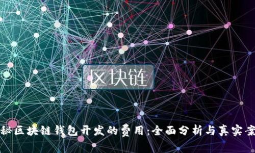 揭秘区块链钱包开发的费用：全面分析与真实案例