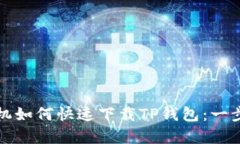 安卓手机如何快速下载TP钱包：一步步指南
