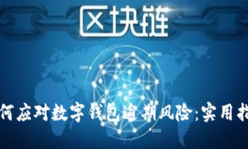 如何应对数字钱包逾期风险：实用指南
