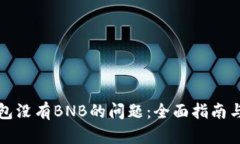解决TP钱包没有BNB的问题：全面指南与应对措施