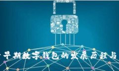 探索早期数字钱包的发展历程与类型
