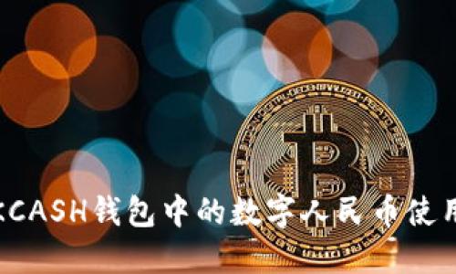 探索KCASH钱包中的数字人民币使用指南