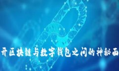 揭开区块链与数字钱包之间的神秘面纱