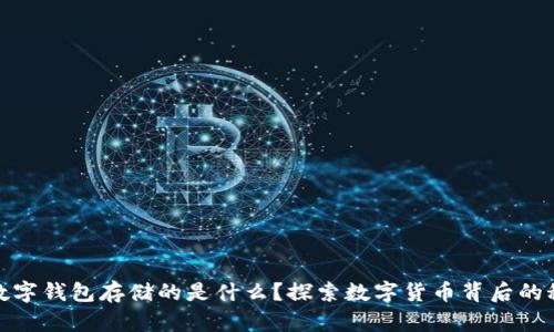 : 数字钱包存储的是什么?探索数字货币背后的秘密