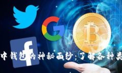 揭开区块链中钱包的神秘面纱：了解各种类型及