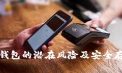 揭示数字钱包的潜在风险及安全存钱的策略