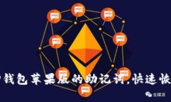 如何轻松导入TP钱包苹果版的助记词，快速恢复你