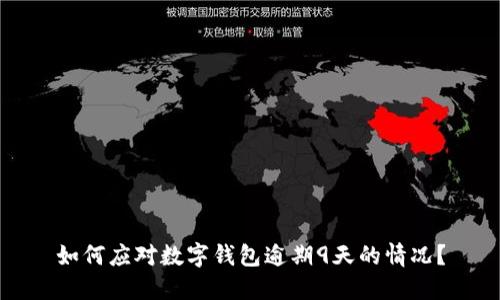 如何应对数字钱包逾期9天的情况？