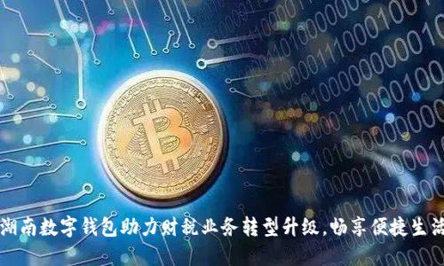 湖南数字钱包助力财税业务转型升级，畅享便捷生活