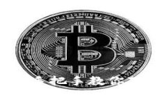: 轻松搞定！手把手教你下载TPTP工具