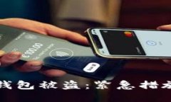 如何应对TP钱包被盗：紧急措施与预防策略