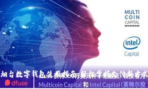 烟台数字钱包使用指南：轻松掌握支付新方式