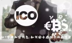 揭秘T字母加密钱包：如何安全存储你的数字资产