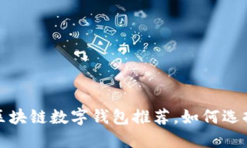 安全且可靠的区块链数字钱包推荐,如何选择适合你的钱包