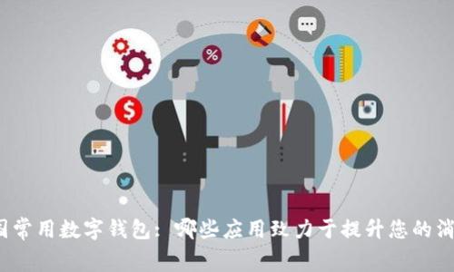 探秘美国常用数字钱包: 哪些应用致力于提升您的消费体验?