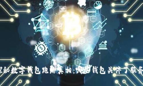 探秘数字钱包跑路真相:哪些钱包关停了服务?