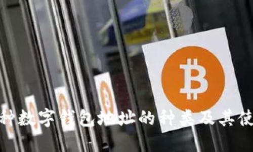 探索各种数字钱包地址的种类及其使用攻略