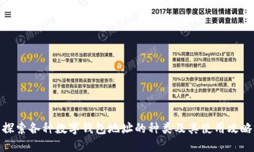 探索各种数字钱包地址的种类及其使用攻略