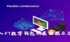 公安介入PT数字钱包的真相揭示及其影响
