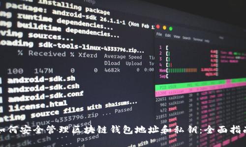 如何安全管理区块链钱包地址和私钥：全面指南