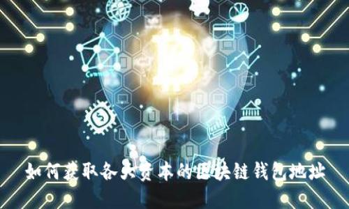 如何获取各大资本的区块链钱包地址