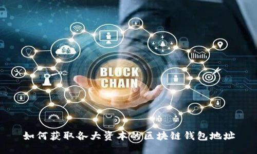 如何获取各大资本的区块链钱包地址