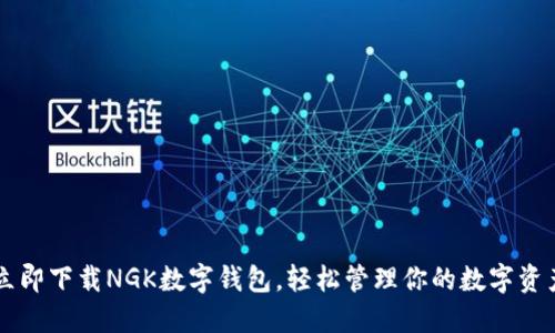 立即下载NGK数字钱包，轻松管理你的数字资产