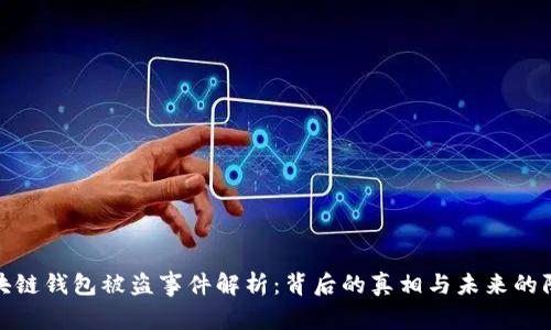 明星区块链钱包被盗事件解析：背后的真相与未来的防范措施