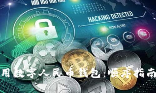 如何高效使用数字人民币钱包:顺序指南与实用技巧