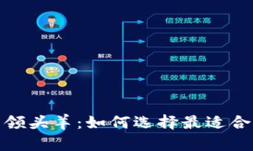 探索区块链钱包领域的领头羊:如何选择最适合你的数字资产管理工具