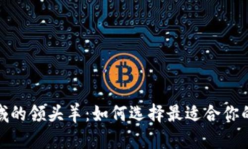 探索区块链钱包领域的领头羊:如何选择最适合你的数字资产管理工具