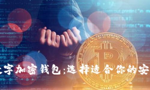 深入探讨数字加密钱包:选择适合你的安全存储方案