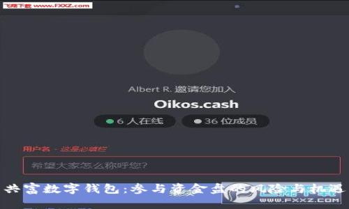 共富数字钱包:参与资金盘的风险与机遇