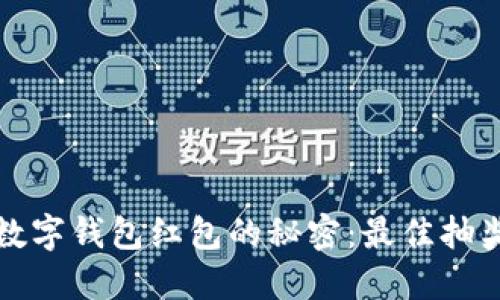 轻松获取数字钱包红包的秘密:最佳抽奖平台汇总