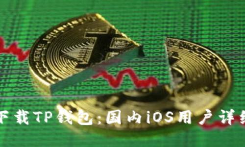 轻松下载TP钱包:国内iOS用户详细教程