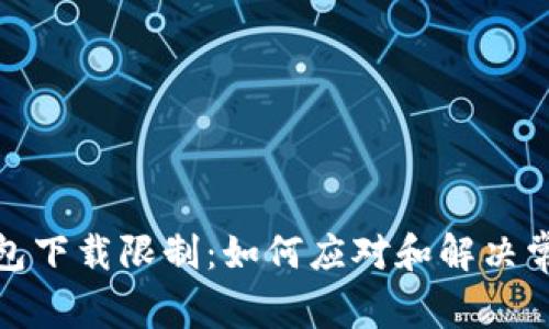 数字钱包下载限制:如何应对和解决常见问题