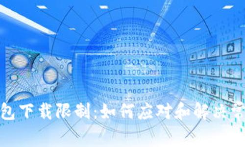数字钱包下载限制:如何应对和解决常见问题