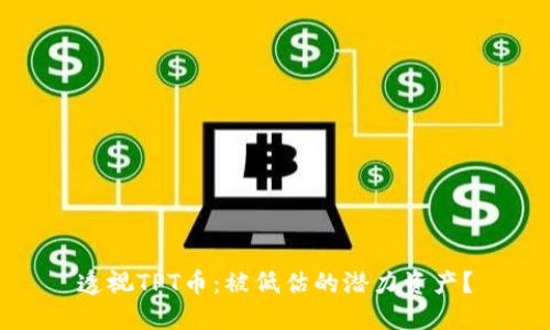 透视TPT币:被低估的潜力资产?