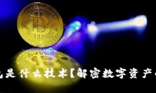 区块链钱包是什么技术？解密数字资产的安全之道