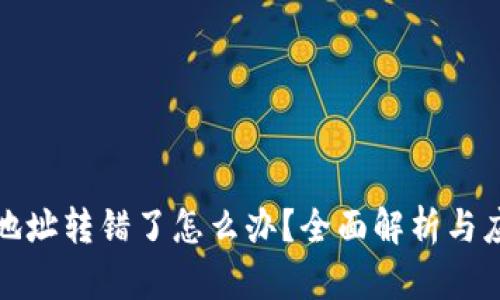 TP钱包地址转错了怎么办？全面解析与应对策略