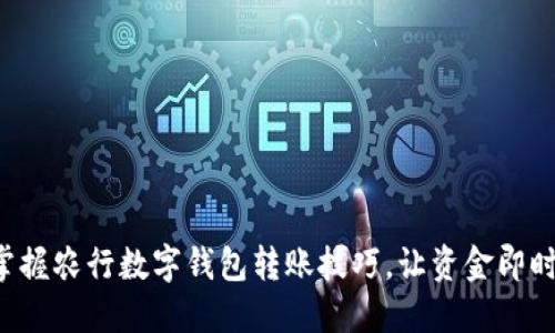 轻松掌握农行数字钱包转账技巧,让资金即时到达!