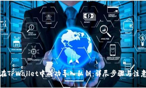 如何在TPWallet中成功导入私钥:详尽步骤与注意事项