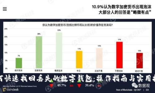 如何快速找回丢失的数字钱包:操作指南与实用技巧